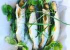 Baked rainbow trout with herbs for dinner tonight 